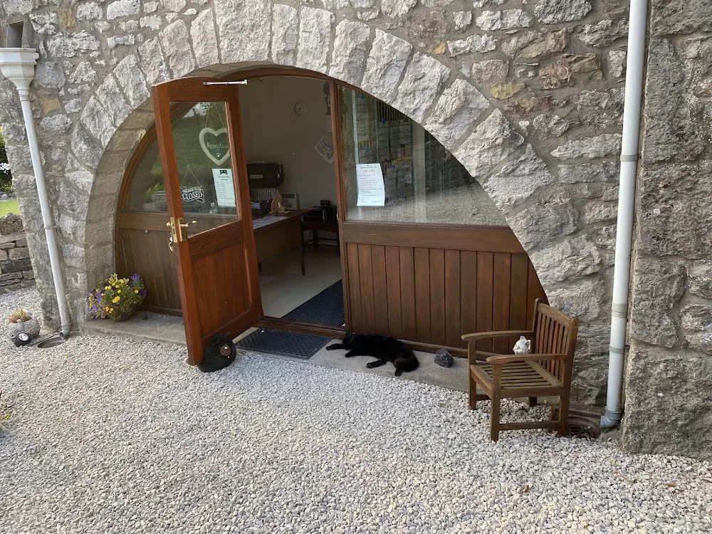 Spring House Cattery, Scales, Ulverston LA120PF ⭐⭐⭐⭐⭐ - Crosby Ravensworth pet otel görseli 3