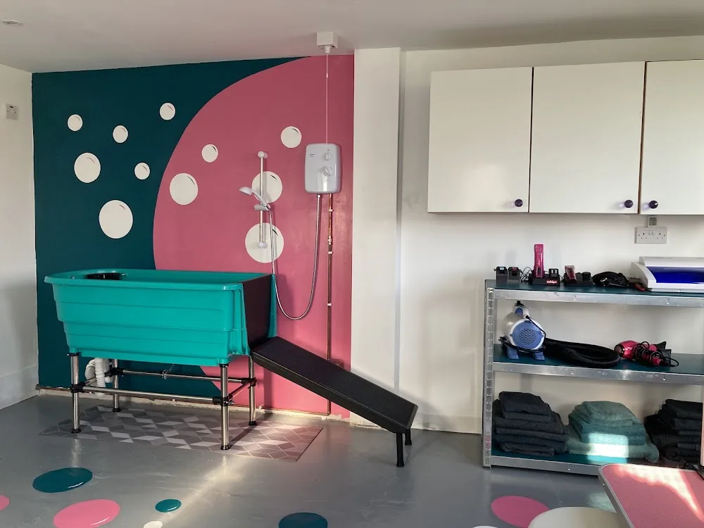 Dulverton Lodge Cat Hotel & Pet Spa - Croydon pet otel görseli 3