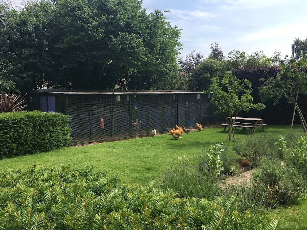 Farm Cottage Cattery - Croydon pet otel