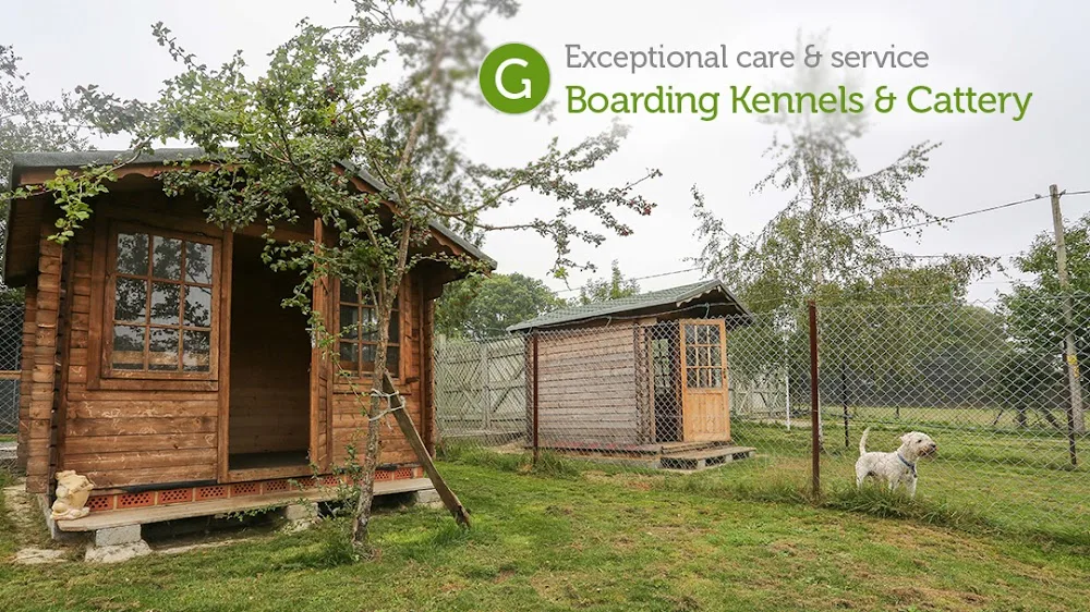 Green Lane Farm Boarding Kennels - Croydon pet otel
