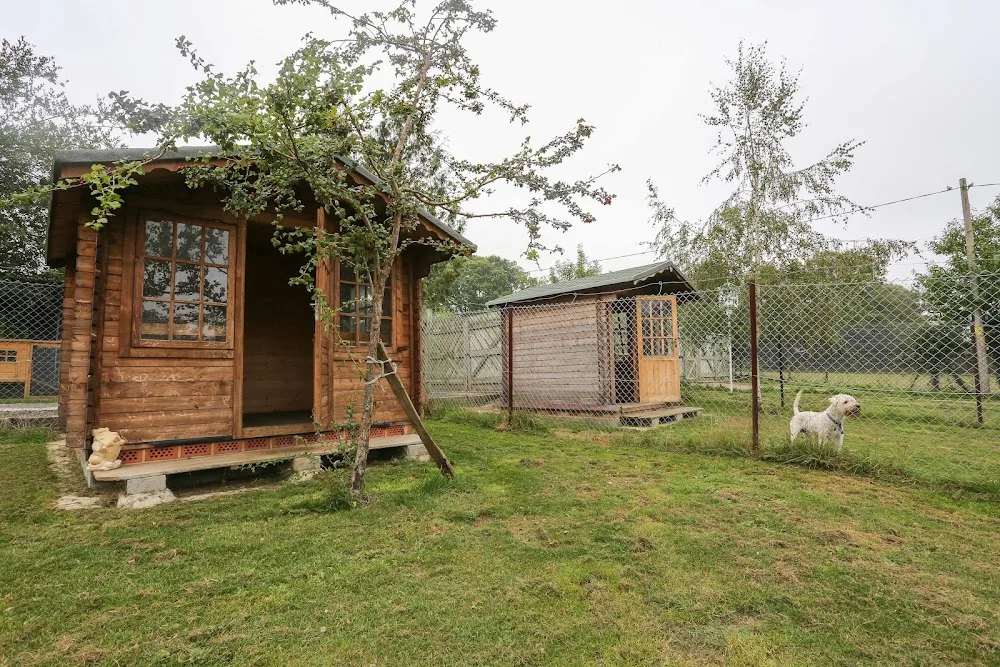 Green Lane Farm Boarding Kennels - Croydon pet otel görseli 3