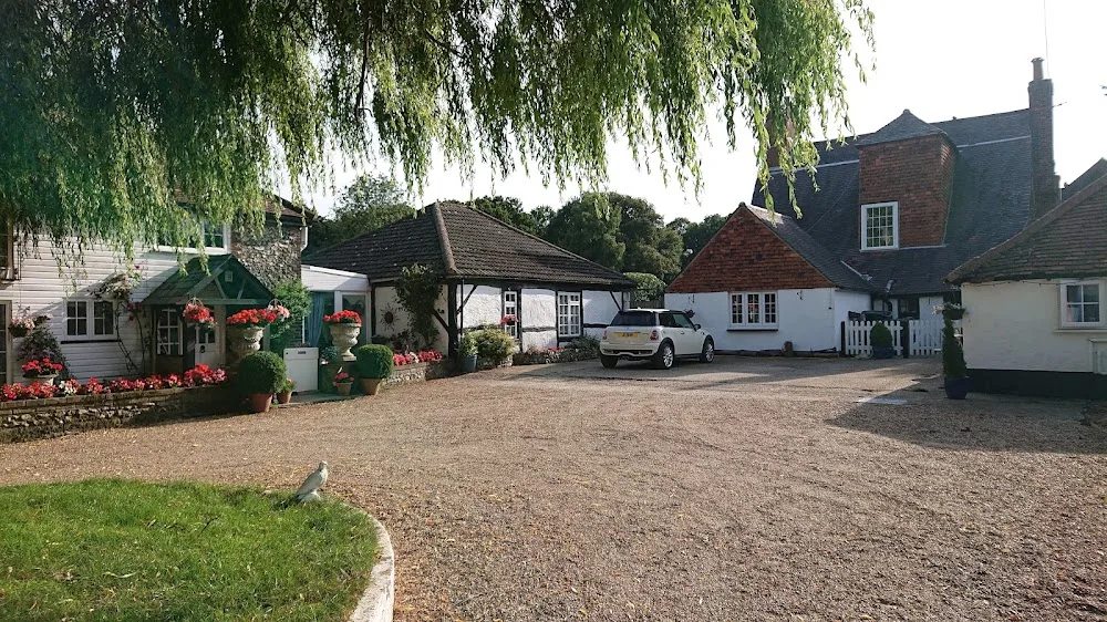 Windmill Farm Boarding Kennels & Cattery - Croydon pet otel görseli 3