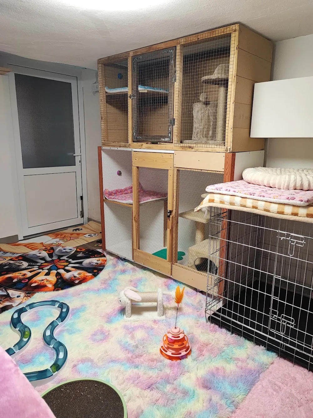 Barbi Kutya-cica-kisállat kozmetika, panzió, napközi, kutyaiskola - Csongrád County pet otel