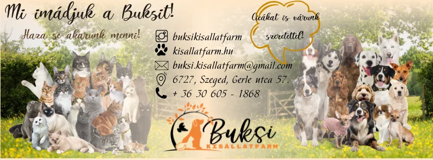 Buksi Kisállatfarm - kutyaiskola, kutyapanzió, cicapanzió, kutyakozmetika, eledelek - Csongrád County pet otel görseli 10