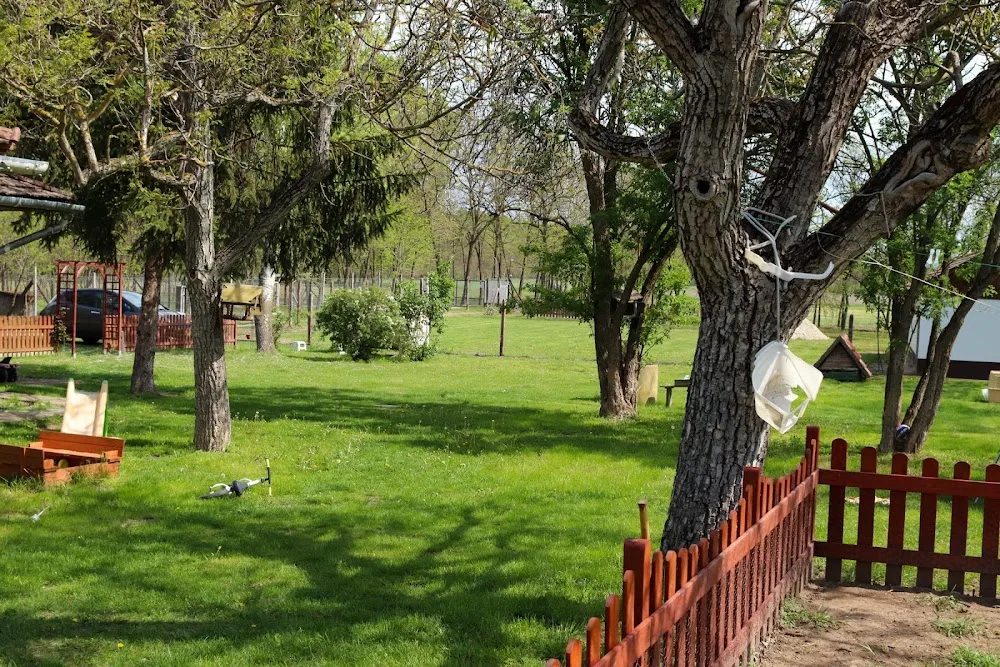 CSALÁDI KUTYAPANZIÓ - Csongrád County pet otel görseli 3