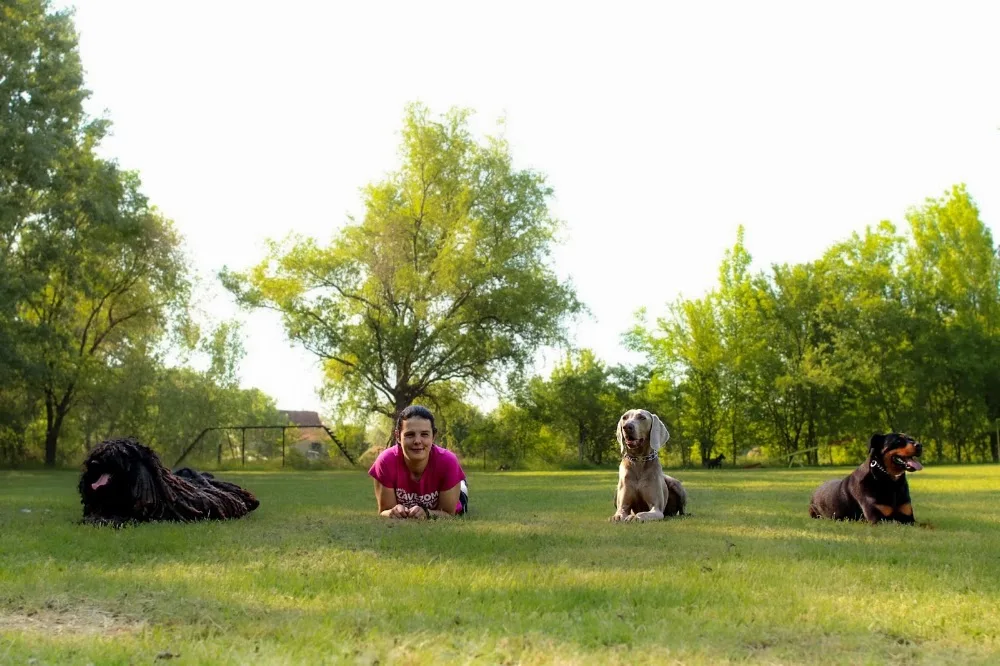 CSALÁDI KUTYAPANZIÓ - Csongrád County pet otel görseli 10