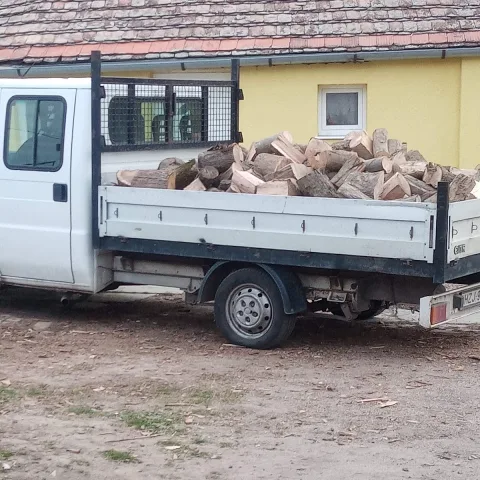 Gyepmesteri Telep Makó - Csongrád County pet otel görseli 5