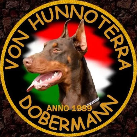 Hunnoterra Dobermann Kennel - Csongrád County pet otel görseli 6