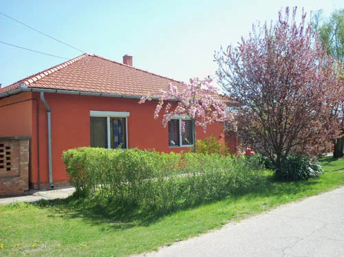 Red-Pretender Kennel - Csongrád County pet otel görseli 6