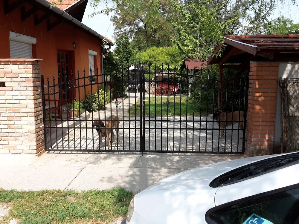 Red-Pretender Kennel - Csongrád County pet otel görseli 7