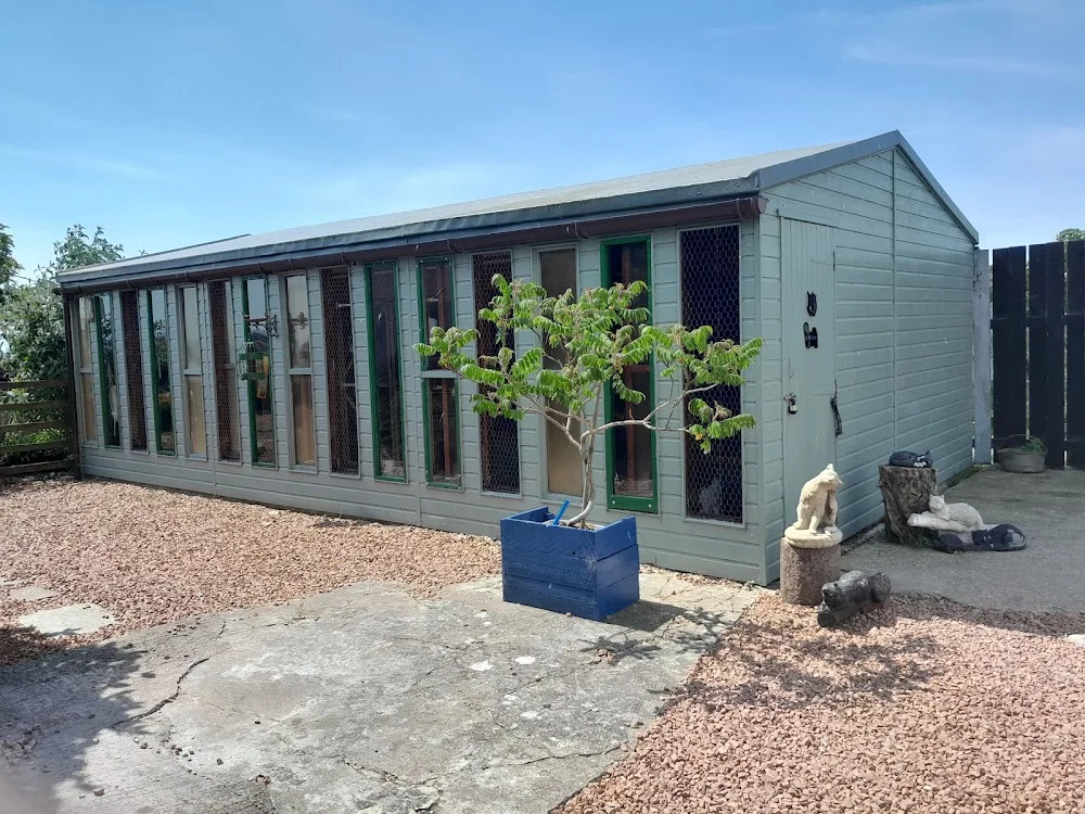 Annan Cat Hotel - Cumbria pet otel