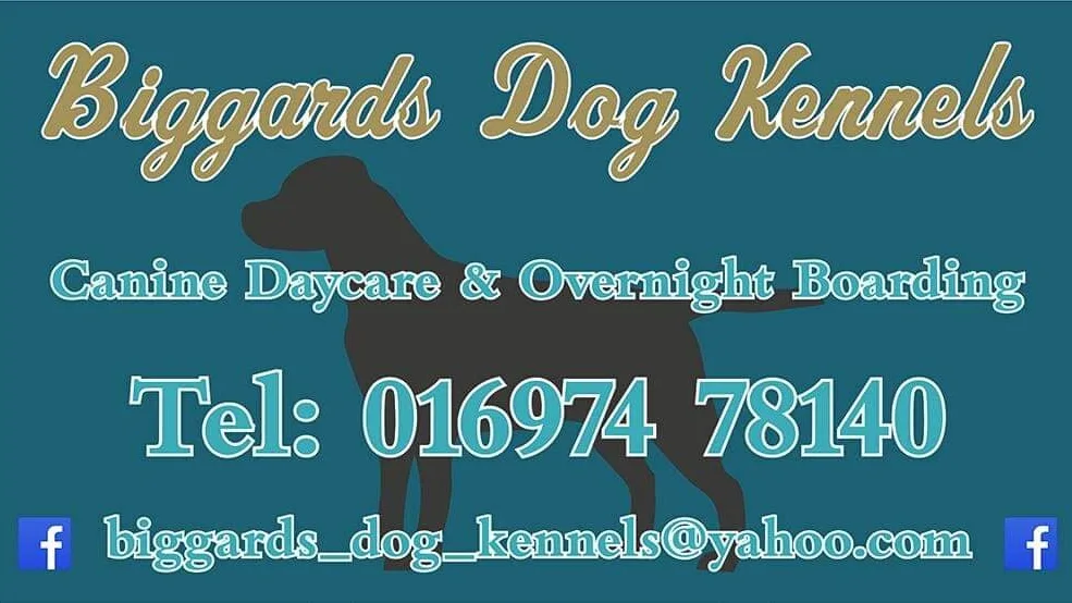 Biggards Dog Kennels - Cumbria pet otel görseli 2