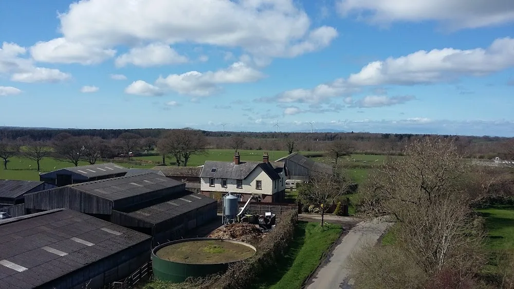 Cedar Tree Cattery - Cumbria pet otel