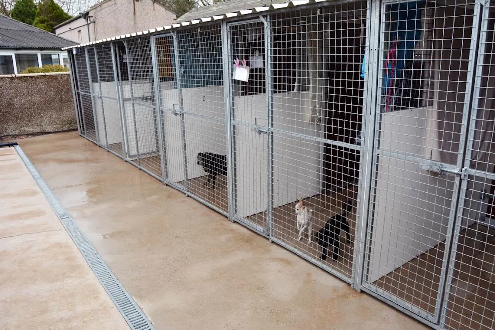 Glyndale Kennels and Cattery - Cumbria pet otel görseli 3