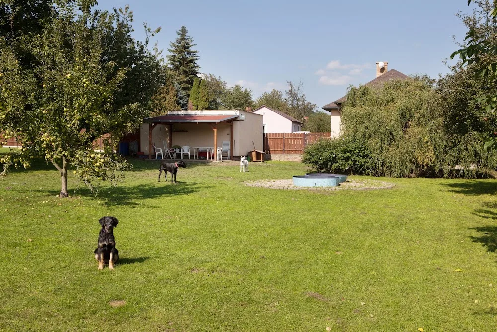 Dogpark - Czech Republic pet otel