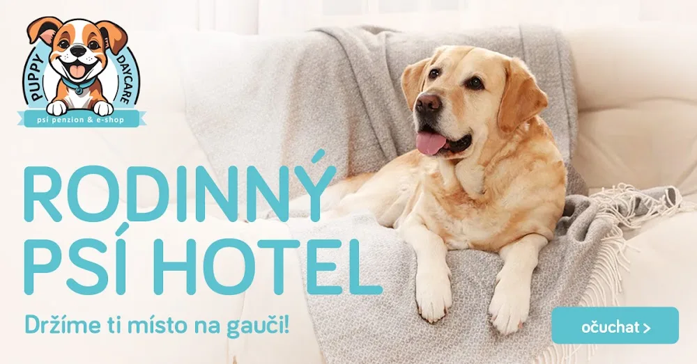 Puppy Daycare - Czech Republic pet otel
