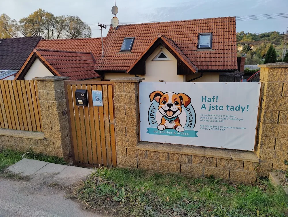 Puppy Daycare - Czech Republic pet otel görseli 3