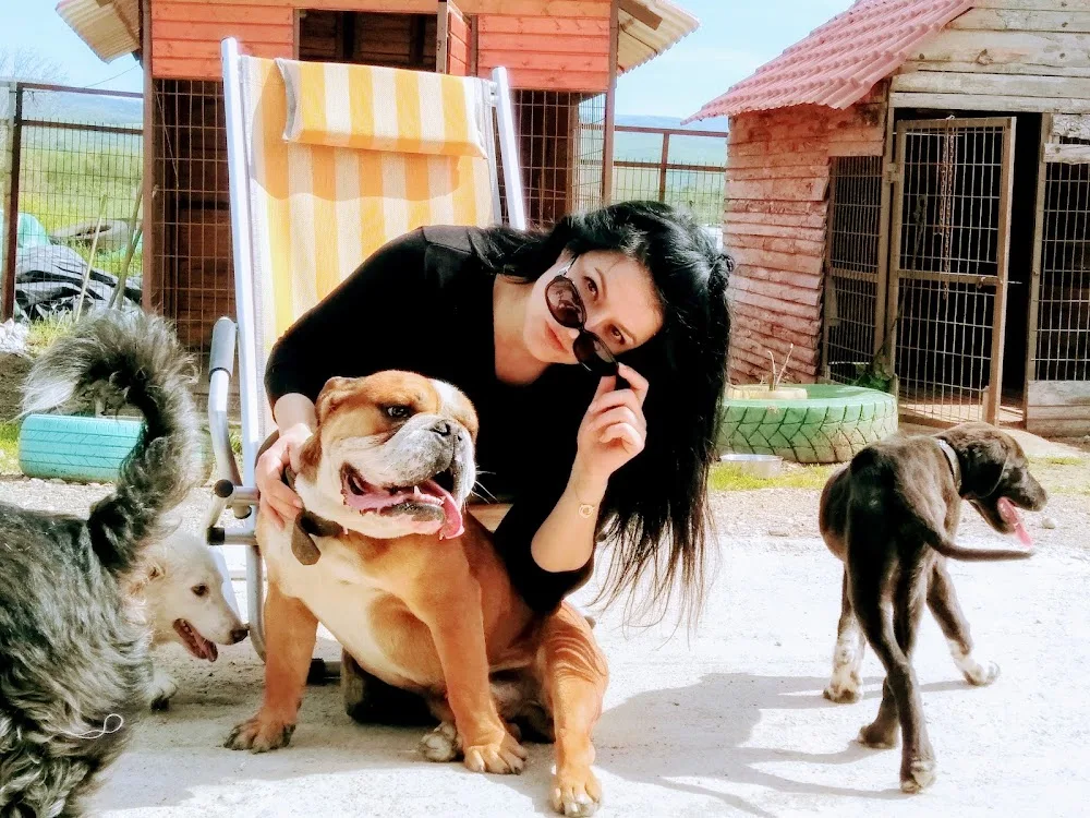 DADI PET RESORT PANSİYON Çanakkale Köpek Oteli - Çanakkale pet otel görseli 3