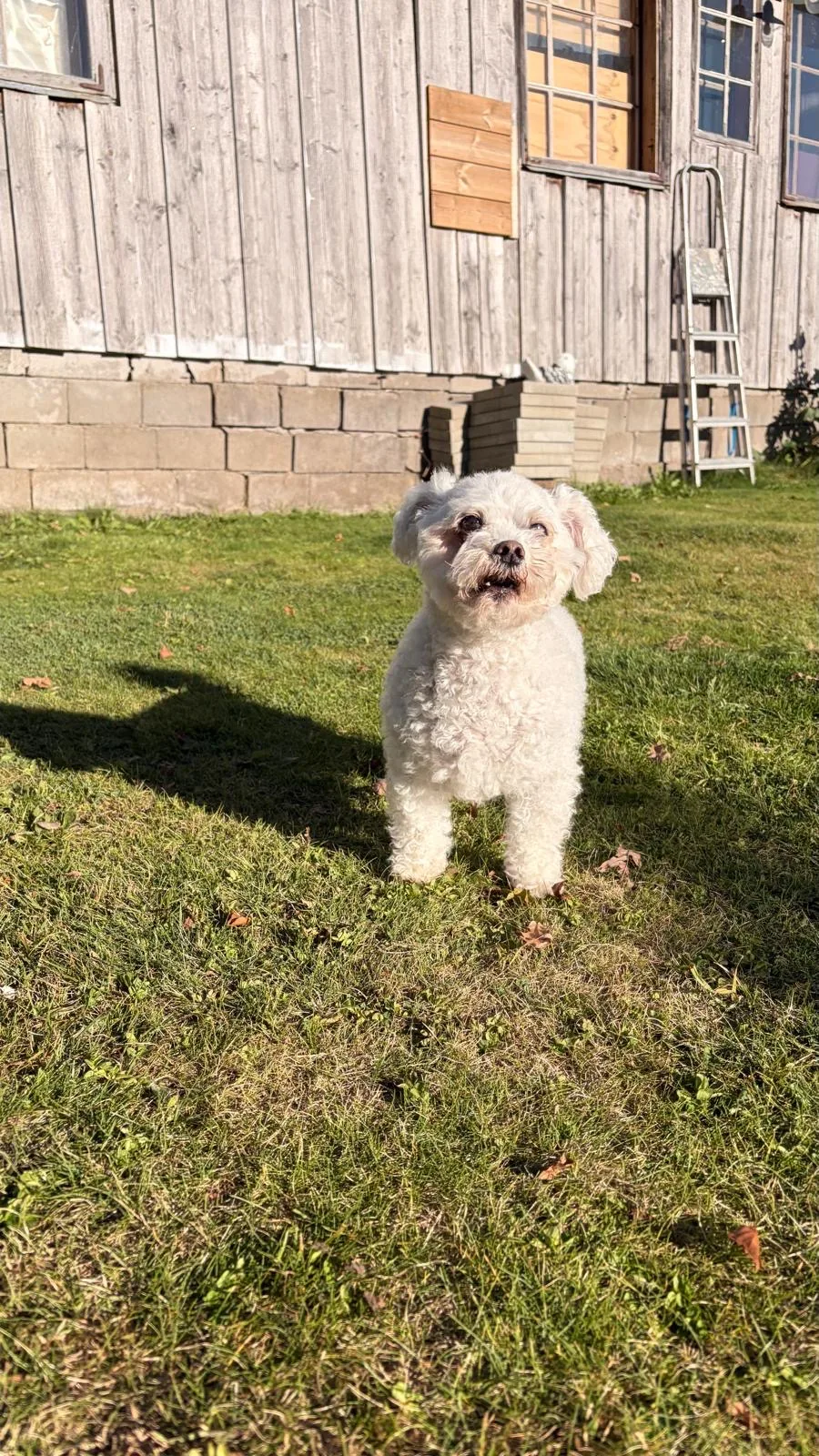 Farmen Pet Resort - Dalarna pet otel