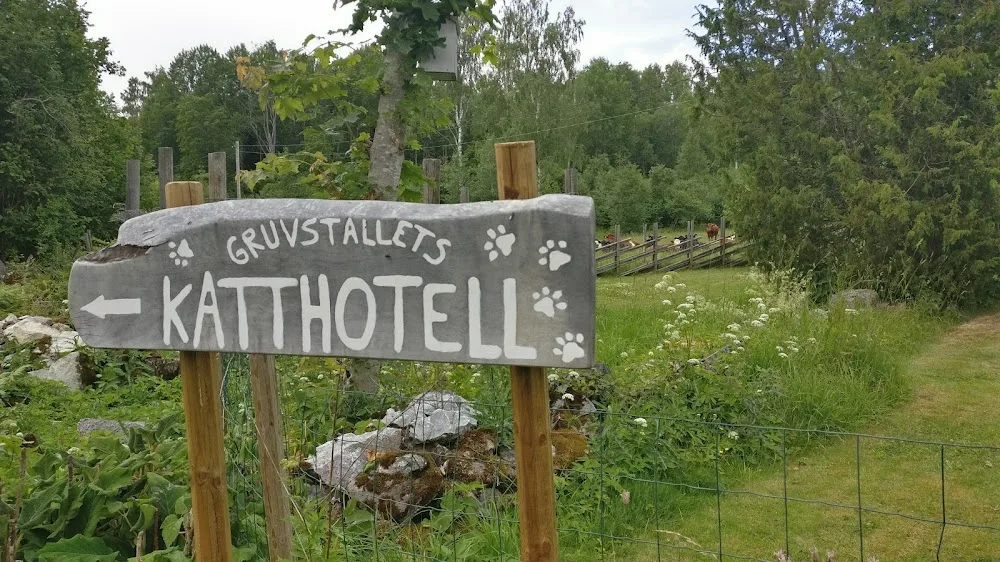 GruvStallets KattHotell - Dalarna pet otel görseli 3