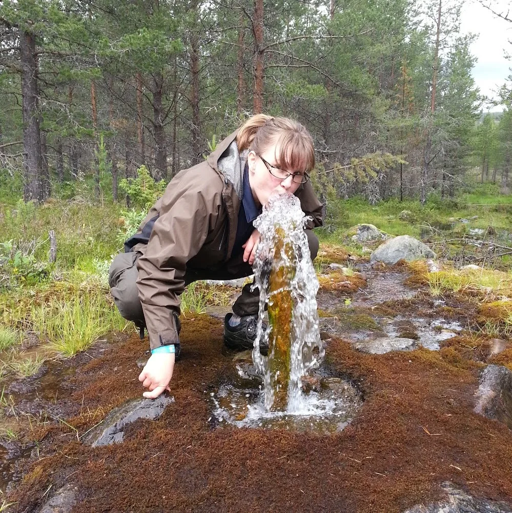 Sparvgården AB - Dalarna pet otel görseli 3