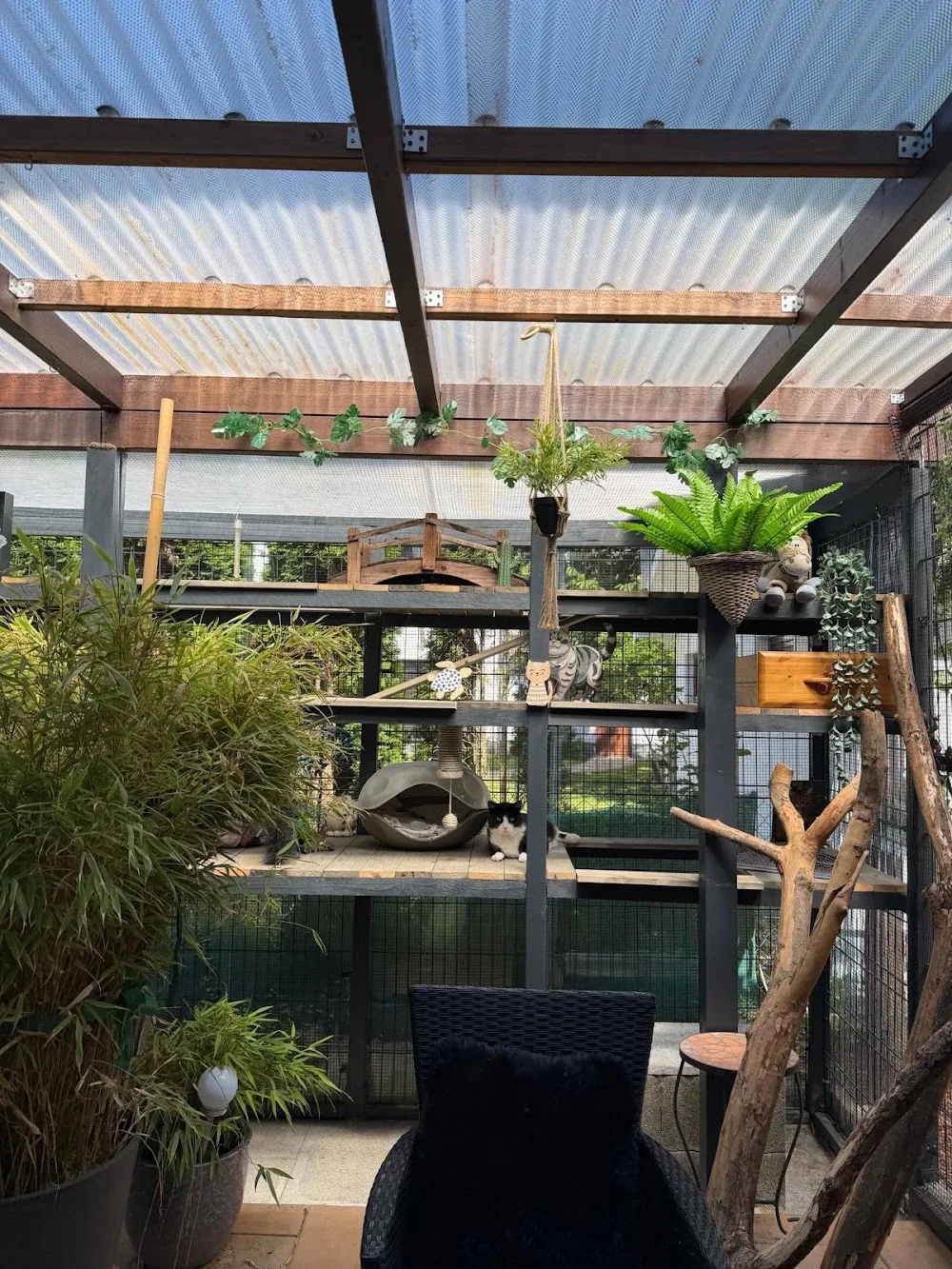 Das kleine Miezhaus - Dallgow-Döberitz pet otel görseli 3