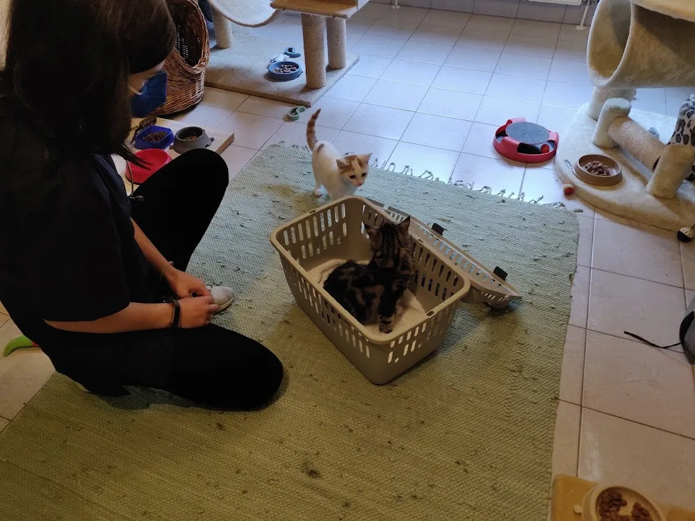 Sabine Schön Tierarztpraxis, Katzenpension - Dallgow-Döberitz pet otel görseli 3