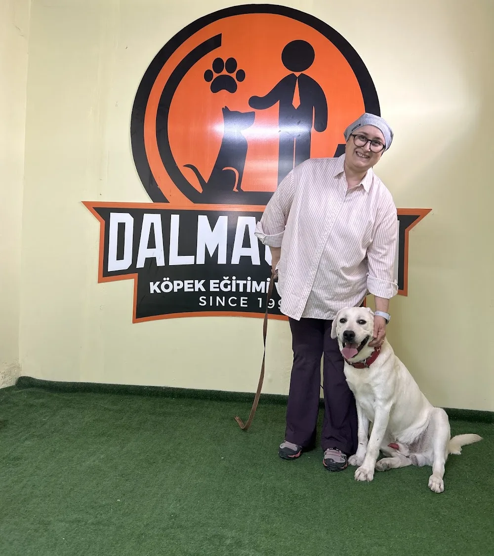 Dalmaçyalı Köpek Eğitim ve Oteli - Bursa - Bursa pet otel