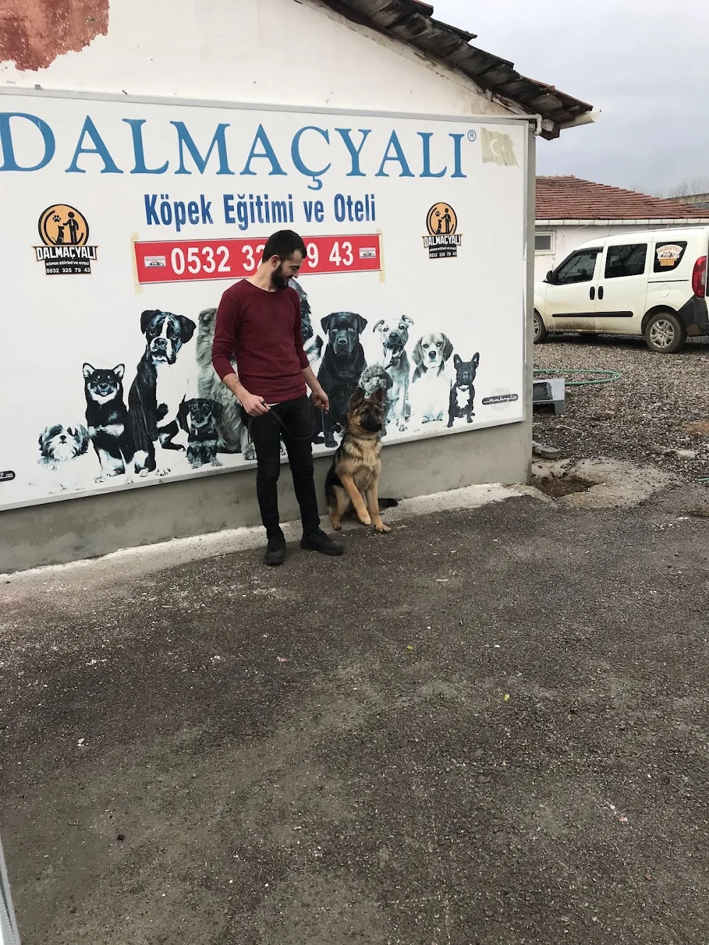 Dalmaçyalı Köpek Eğitim ve Oteli - Bursa - Bursa pet otel görseli 3
