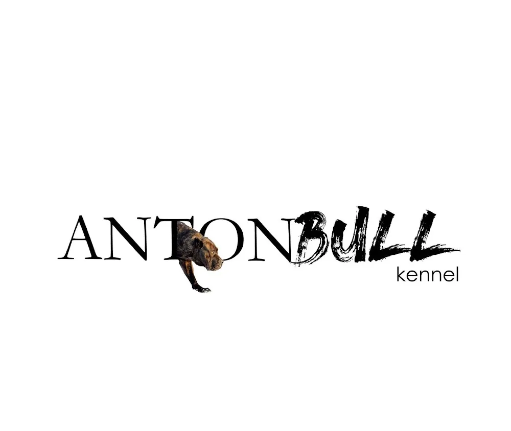 Antonbullkennel - Dâmbovița pet otel