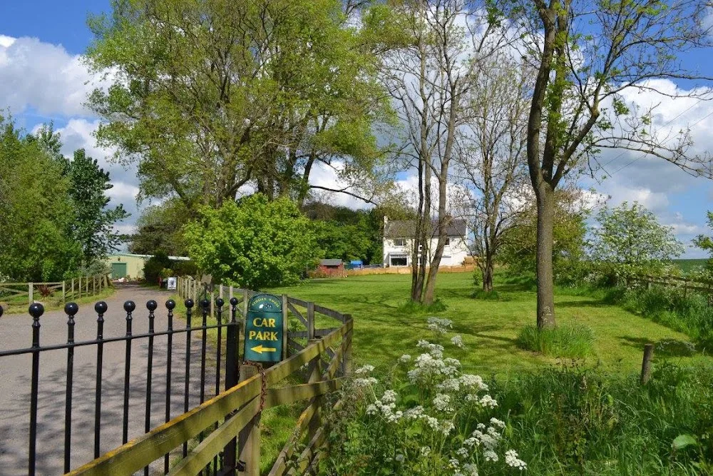 Aeolian House Dog Training & Boarding Kennels - Darlington - Darlington pet otel