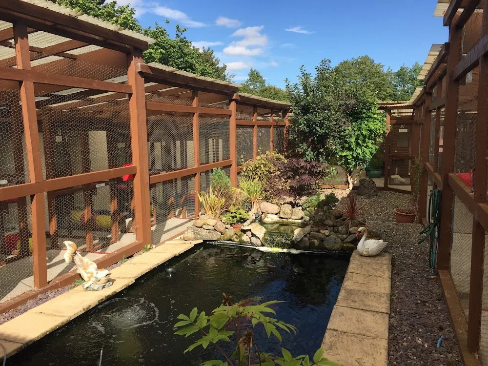 Blakeston Lodge Luxury Cattery - Darlington pet otel