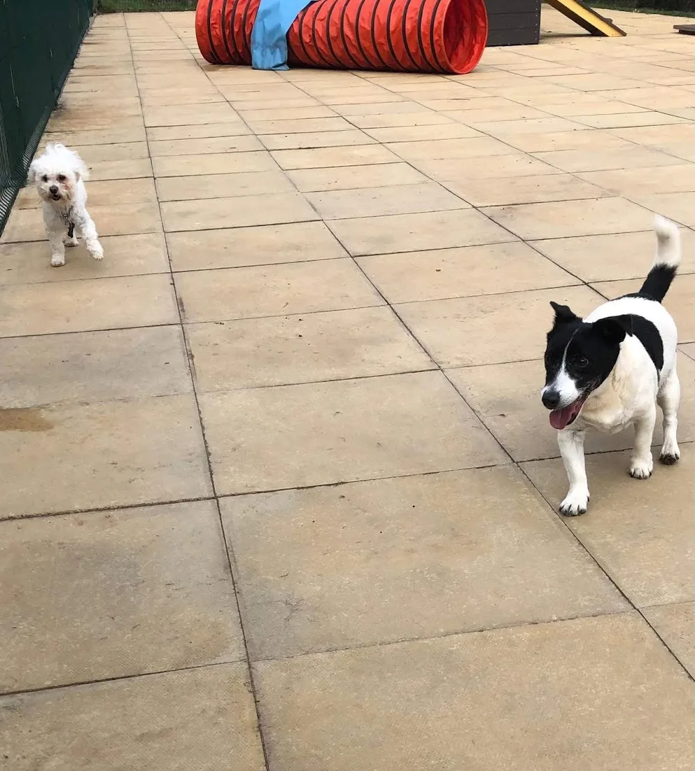 Centre Barks K9 Stay & Play & Secure Field & Cattery - Darlington pet otel