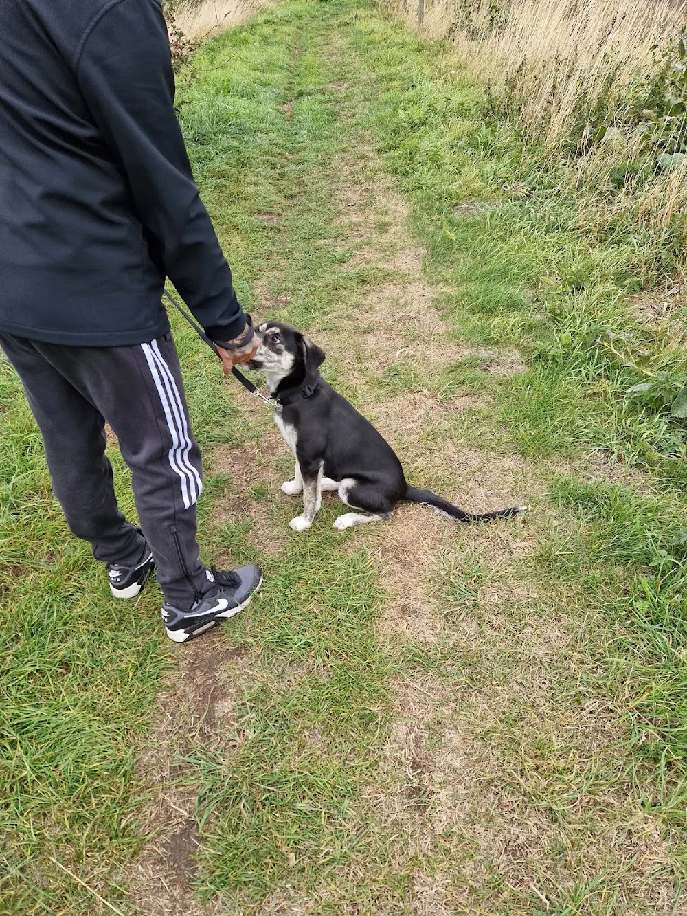 Deerness Kennels - Darlington pet otel