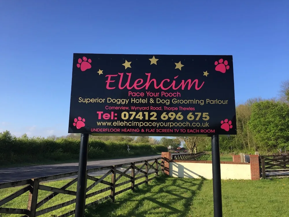 Ellehcim Pace Your Pooch - Darlington pet otel görseli 3