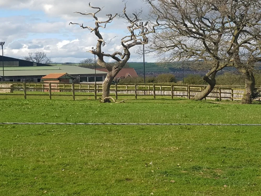 Hunwick Boarding Kennels & Cattery - Darlington pet otel
