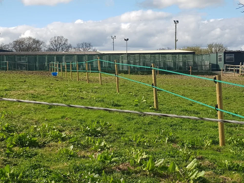 Hunwick Boarding Kennels & Cattery - Darlington pet otel görseli 3