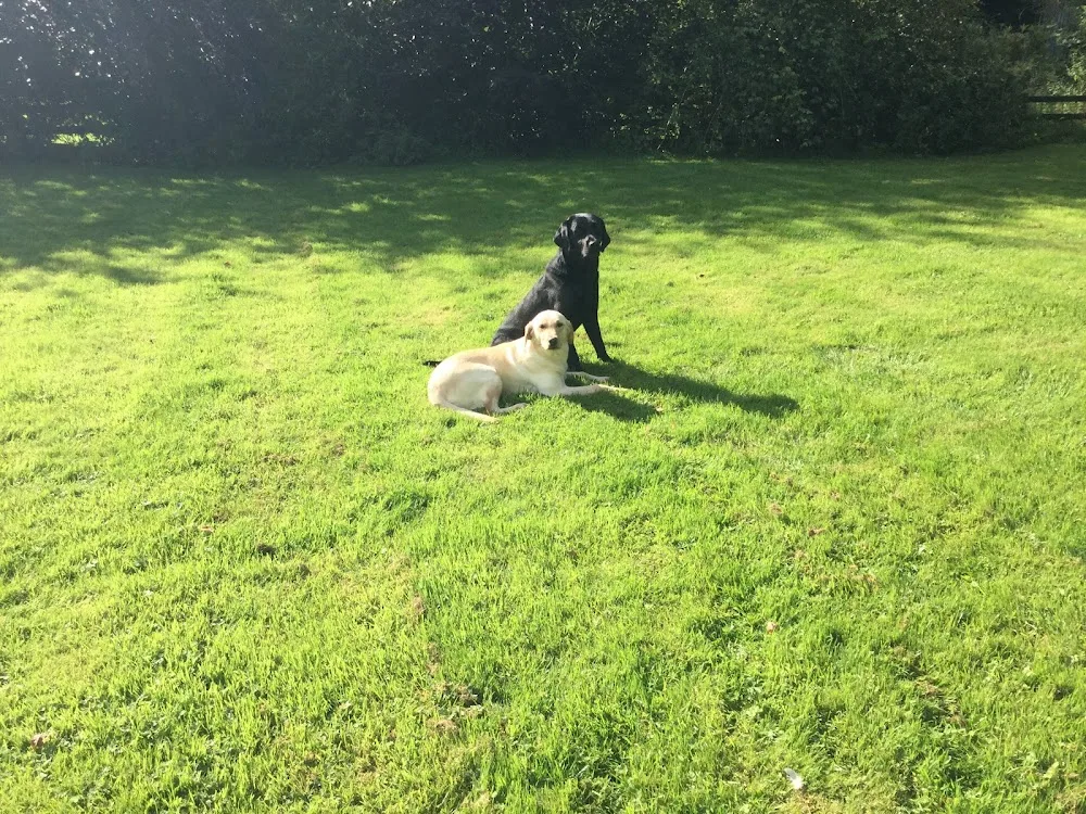 Low Chantry Farm Boarding Kennels & Cattery - Darlington pet otel görseli 3