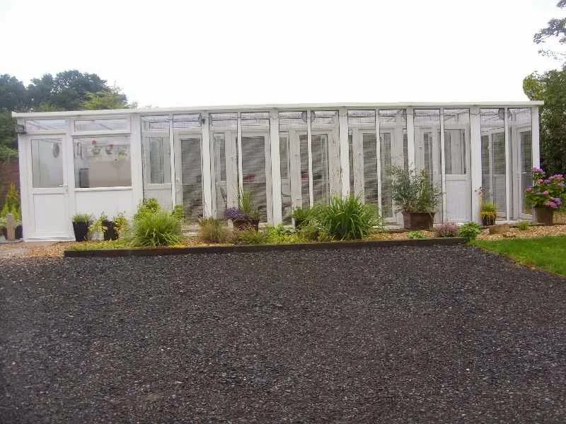 Orchard Cottage Cattery - Darlington pet otel
