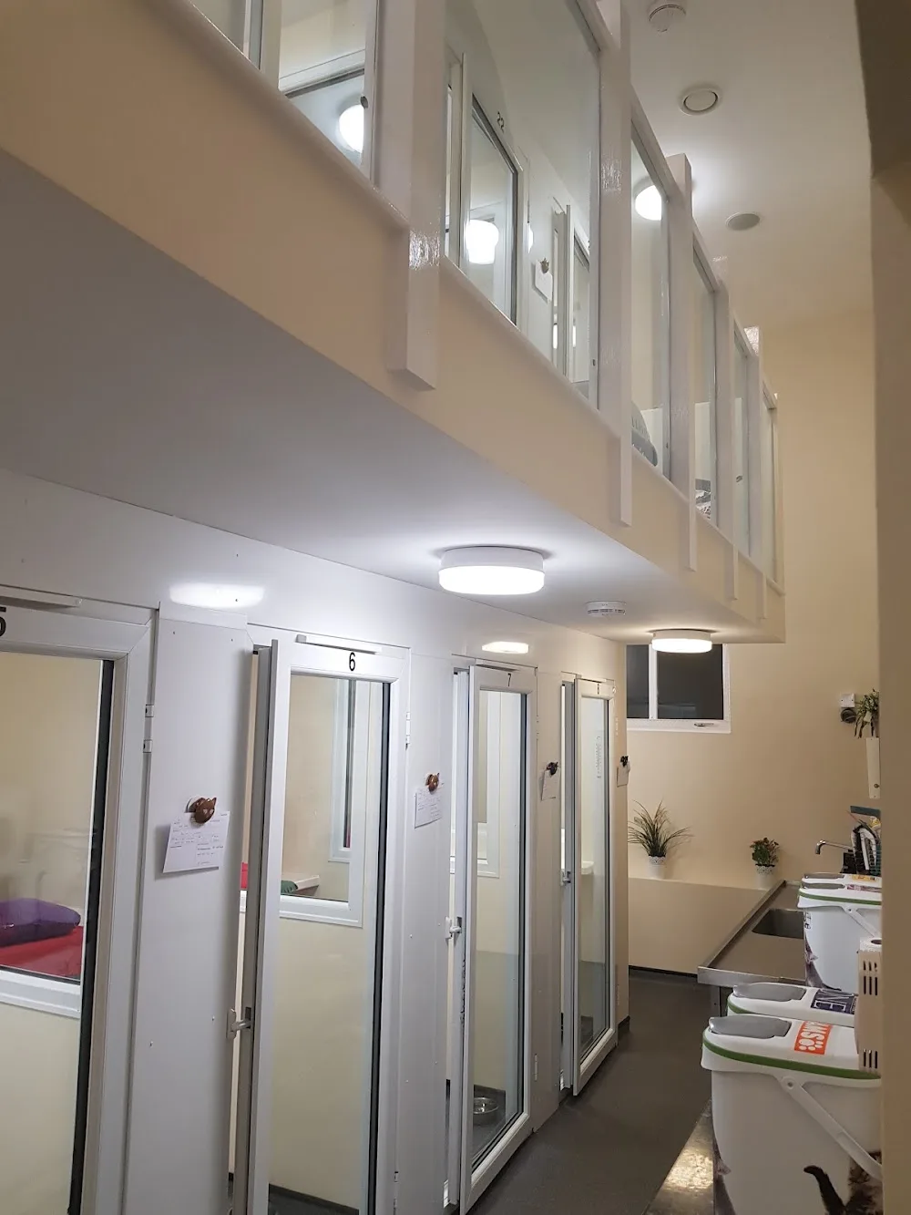 Wolviston Village Cattery - Darlington pet otel