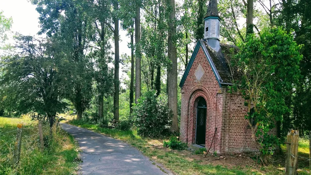 Château-du-chat - De Pinte pet otel görseli 2