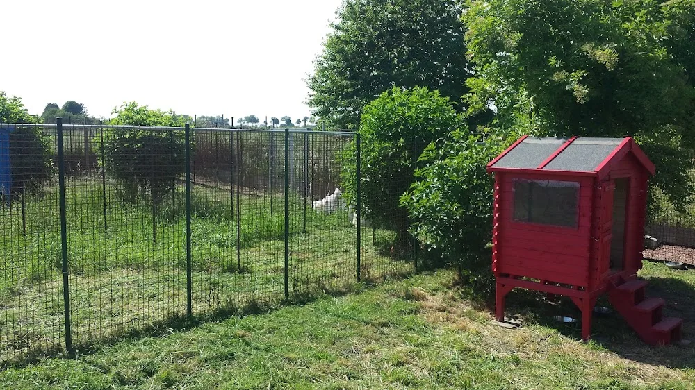 Chiens en vacances - De Pinte pet otel görseli 7