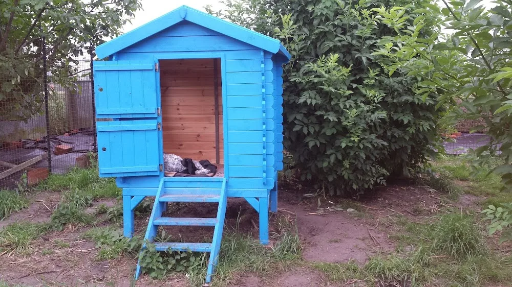 Chiens en vacances - De Pinte pet otel görseli 10