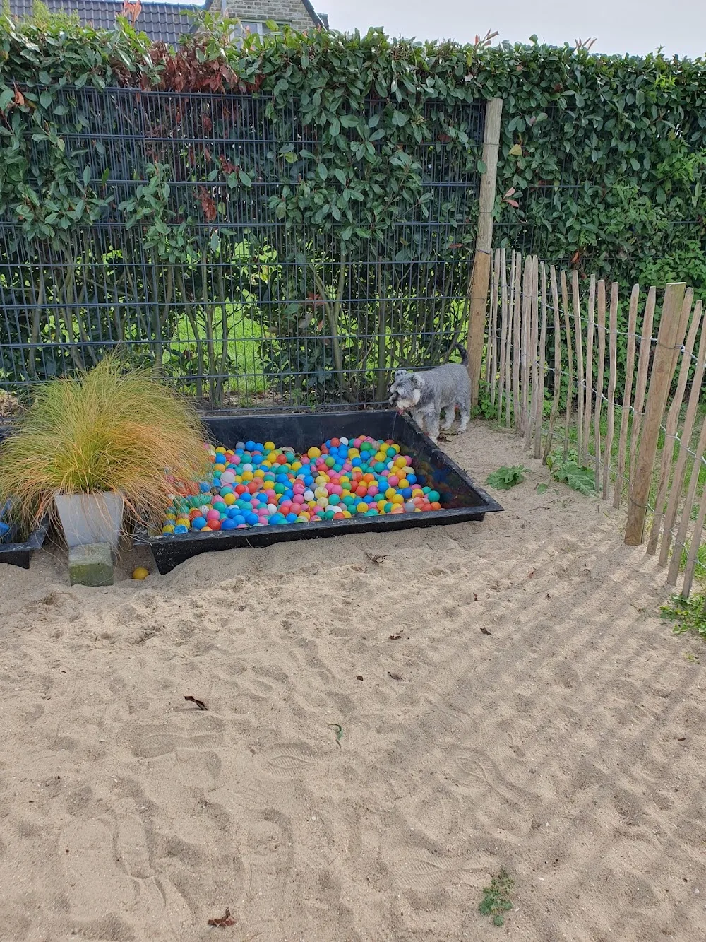 De Roedelhoeve - De Pinte pet otel görseli 3