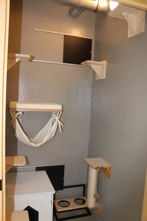 Maison Chat - De Pinte pet otel görseli 3