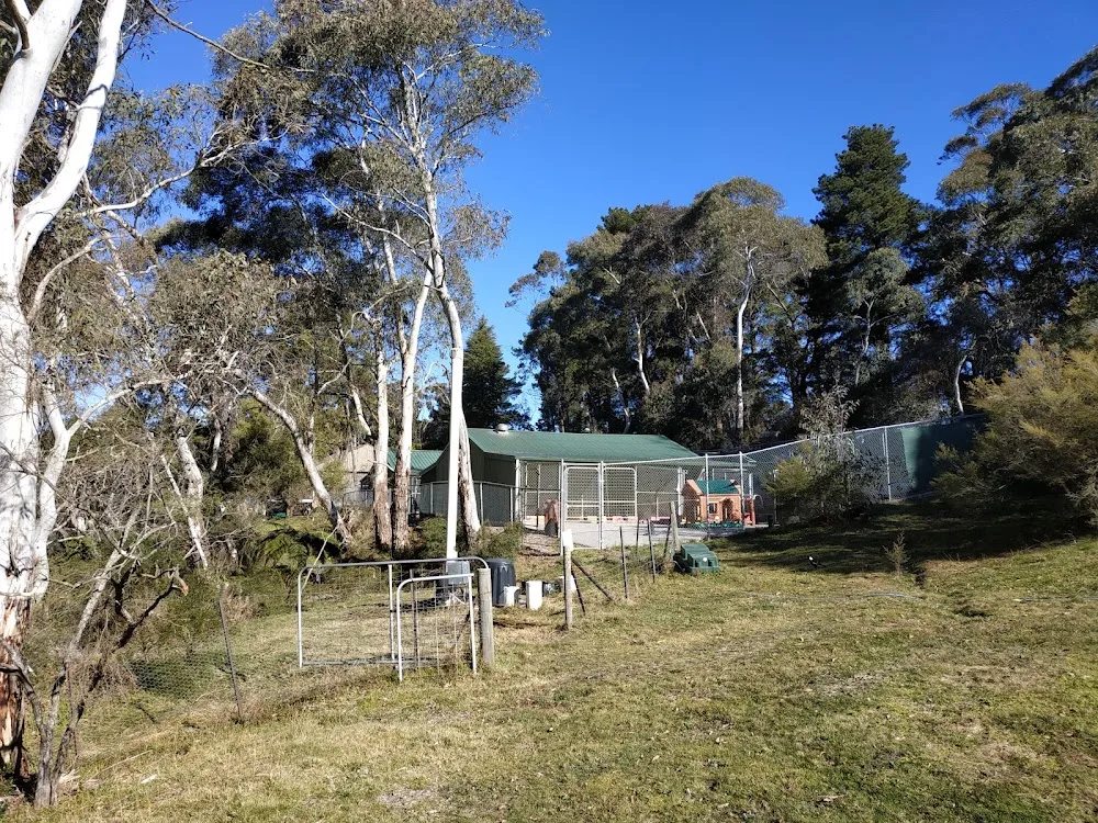 Blue Mountains Pet Resort - Deepwater pet otel görseli 3