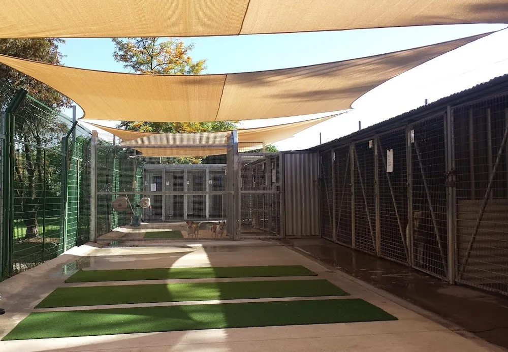 Goonoowigall Boarding Kennels Inverell - Deepwater pet otel görseli 2
