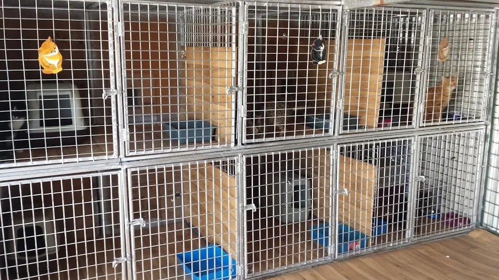 Goonoowigall Boarding Kennels Inverell - Deepwater pet otel görseli 3