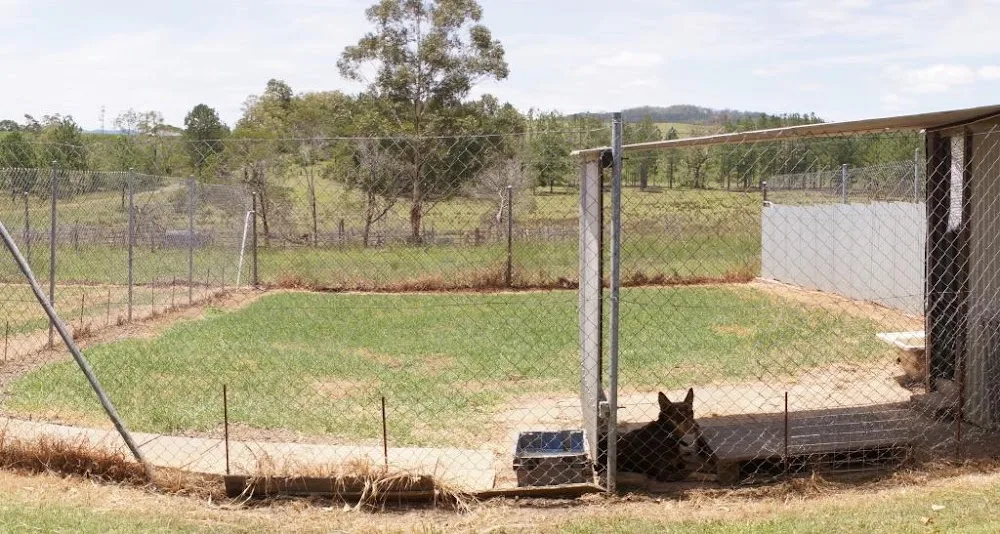 Kyogle Pet Motel - Deepwater pet otel görseli 3