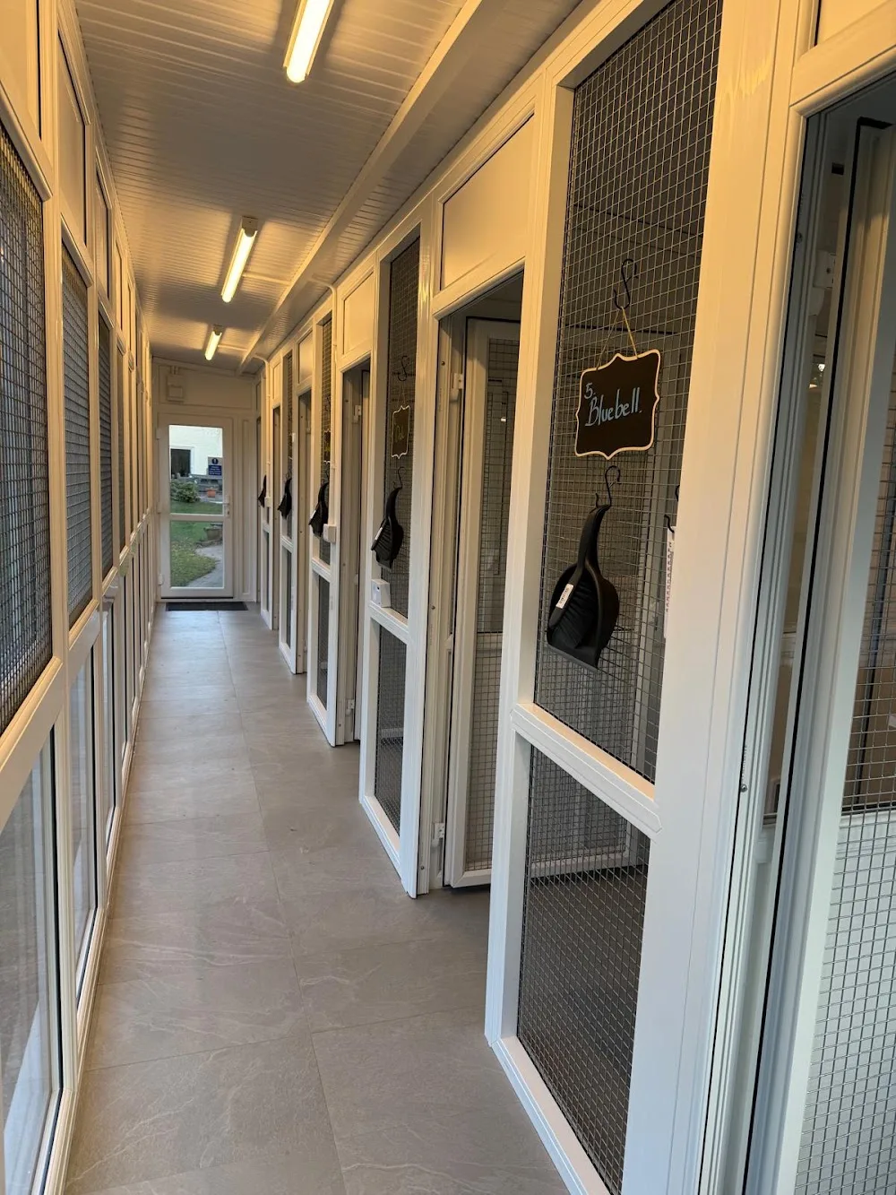 Ripperstone cattery - Denbighshire pet otel görseli 3